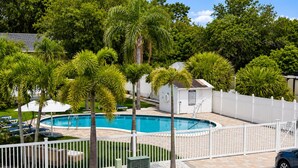 Una piscina rodeada de palmeras y una valla blanca.