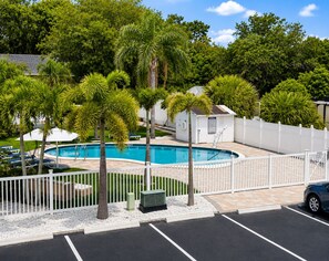 A swimming pool surrounded by palm trees and a white fence. - King Suite w Pool, 3 Miles from Clearwater Beach#7 (Clearwater)