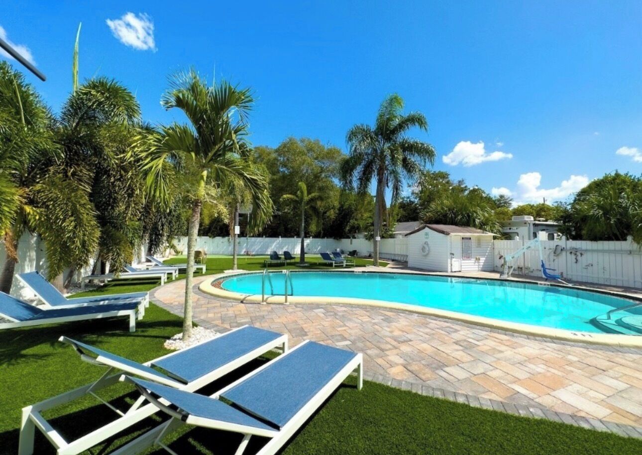 Una piscina con sillones de descanso, palmeras y un cielo azul despejado.