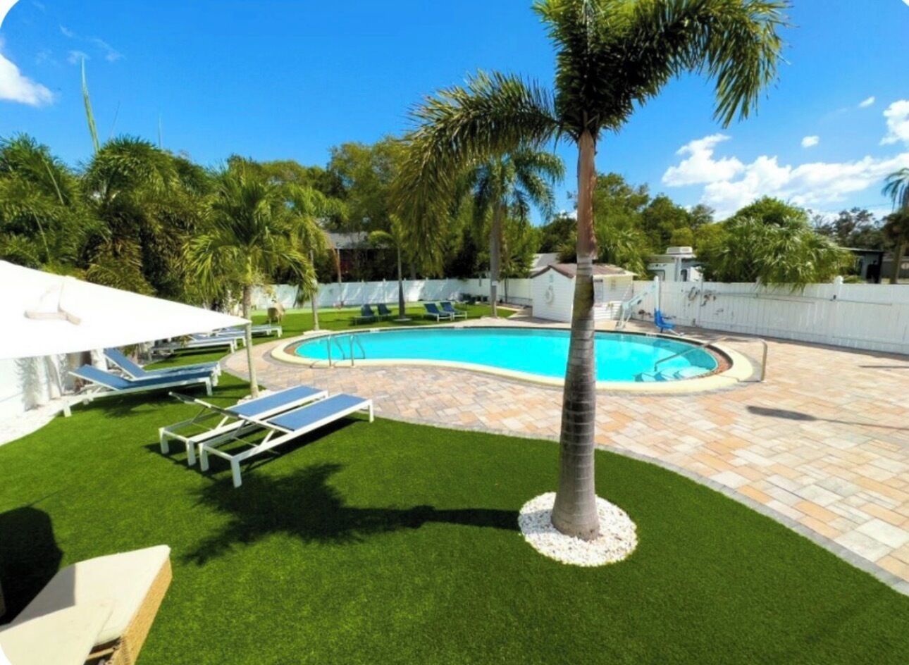 A swimming pool with a palm tree, lounge chairs, and a well-maintained lawn.