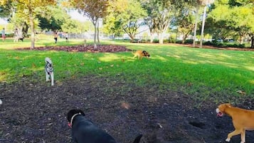 Animaux de compagnie acceptés