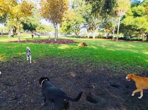 Lemmikkiystävällinen