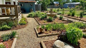 Un jardín con un camino de grava, diversas plantas y un edificio rústico.