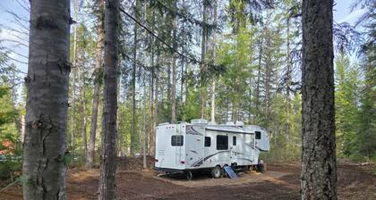 Whatshan Valley Hideaway near Edgewood, BC