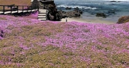 Rosarito | Family Beach Retreat | Pool + Beach | 2BR