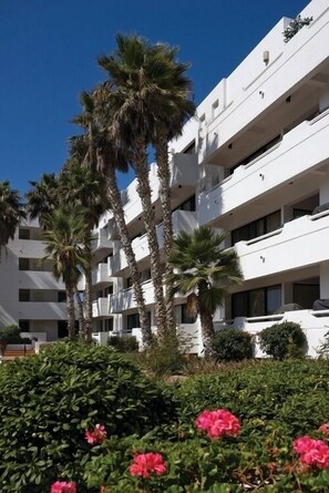 Un immeuble à plusieurs étages doté de balcons, entouré de palmiers et d’arbustes verdoyants.