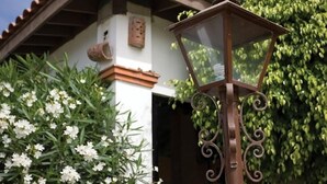 Um edifício com telhado de telhas, um lampião e um arbusto verde com flores brancas.