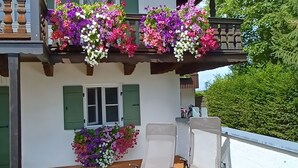 Ein Balkon mit hängenden Blumenkörben und ein Fenster mit Rollläden.