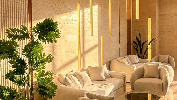 Ein modernes Wohnzimmer mit einer Sofagarnitur, einem Couchtisch und einem Blumentopf.