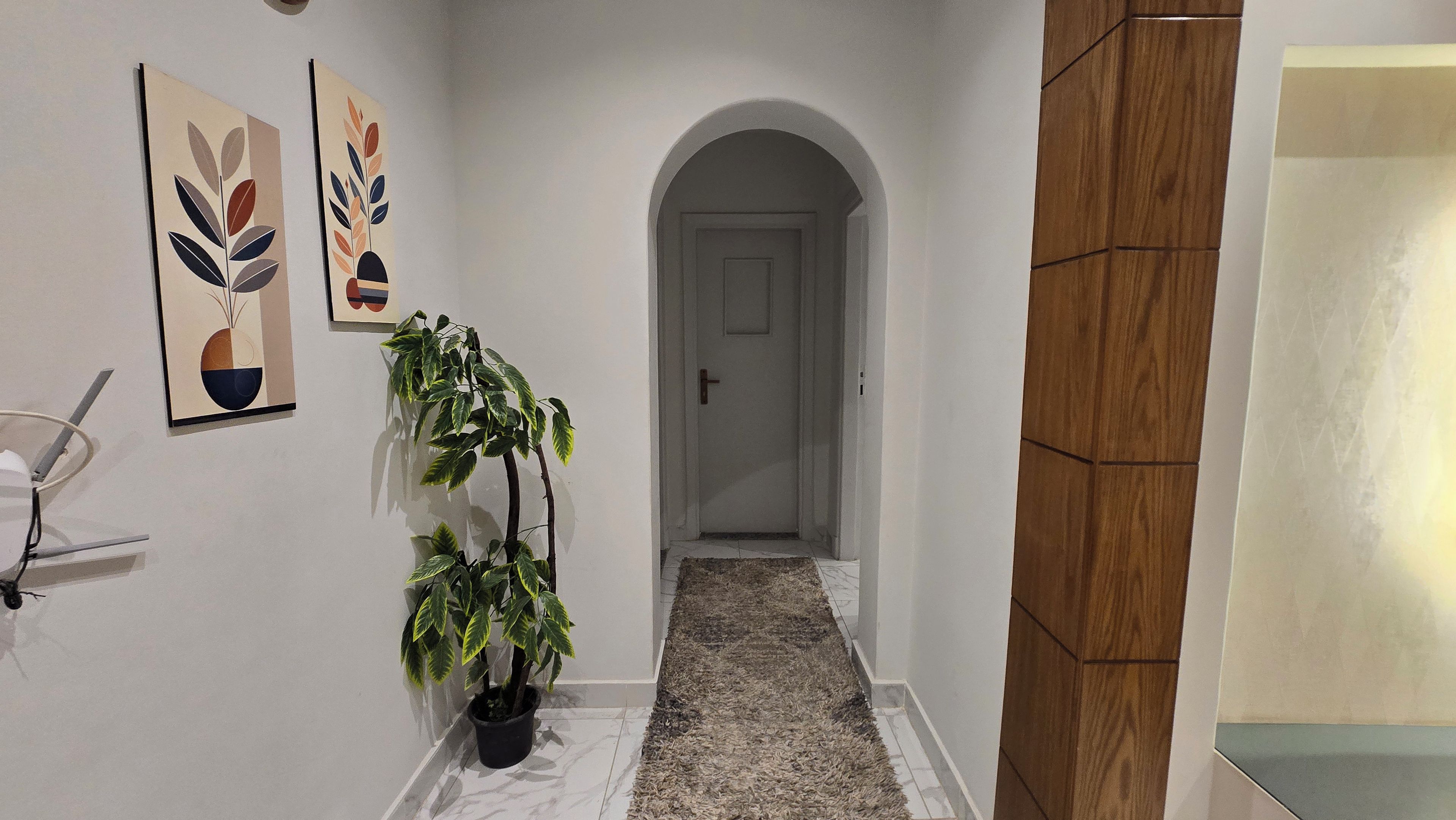 A hallway with a potted plant, a door at the end, and two wall-mounted artworks.
