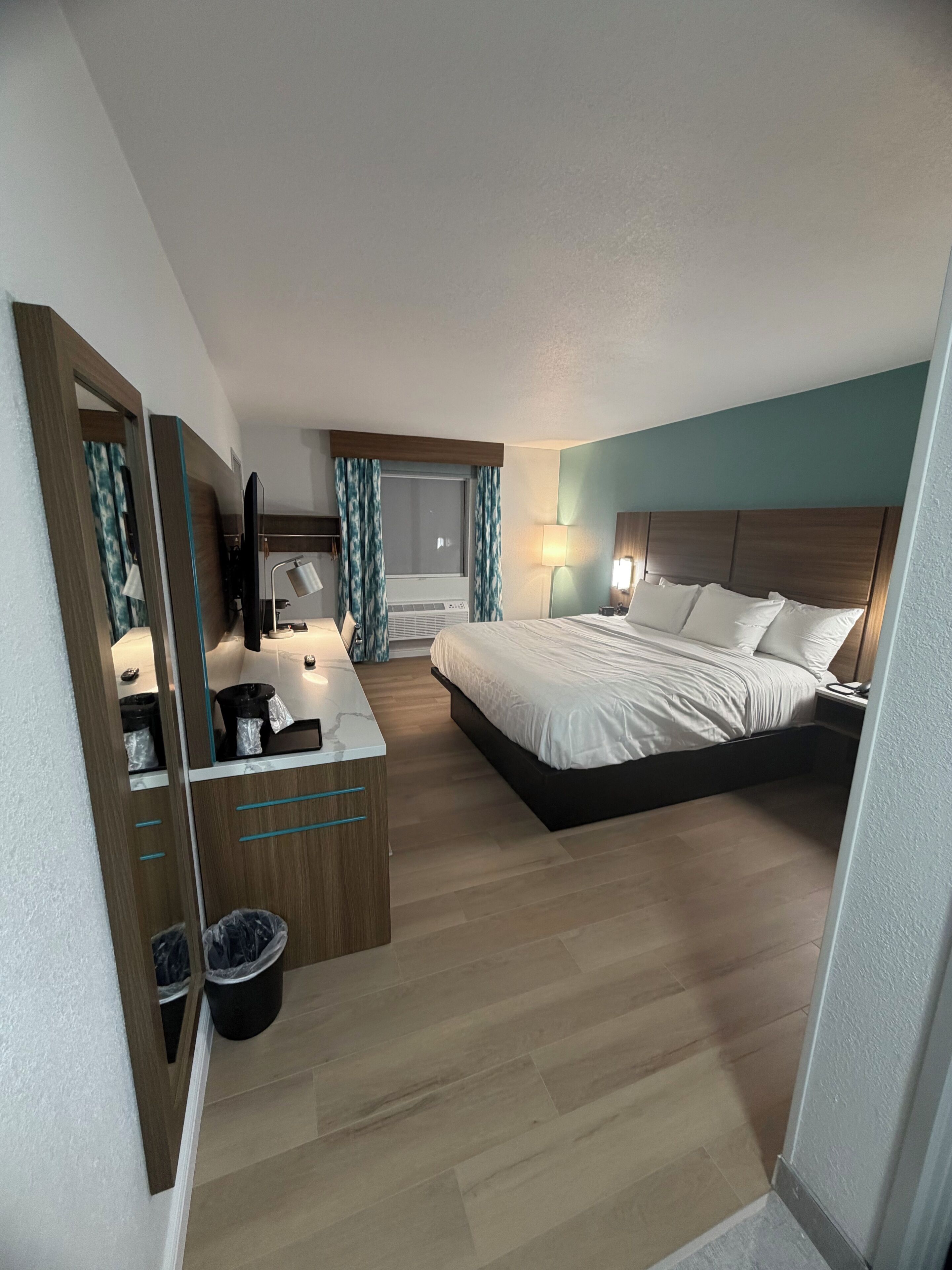 Room, 1 King Bed, Non Smoking