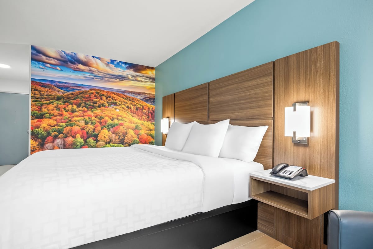 Room, 1 King Bed, Non Smoking | Premium bedding, desk, laptop workspace, blackout drapes