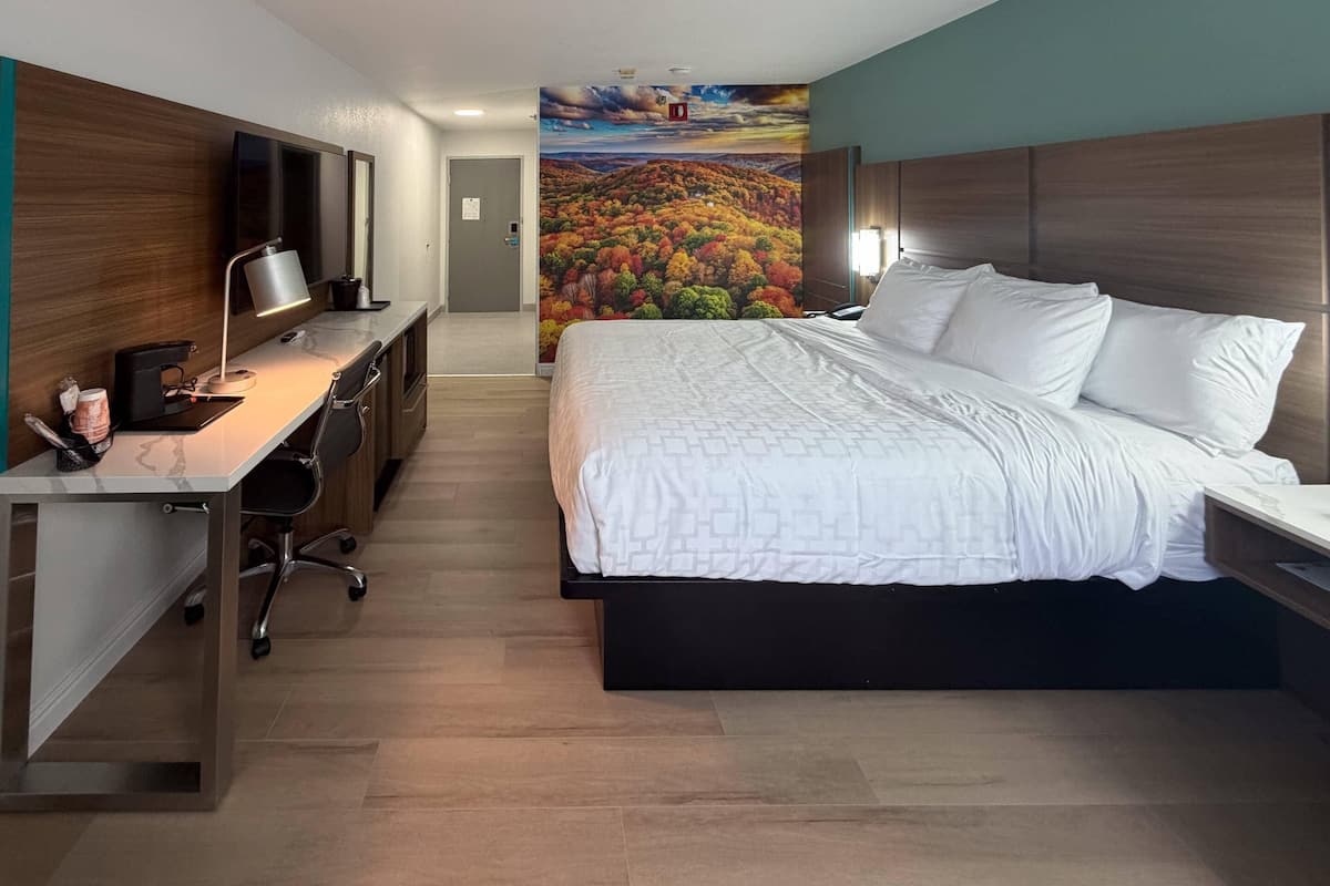 Chambre, 1 trĂšs grand lit, non-fumeur
