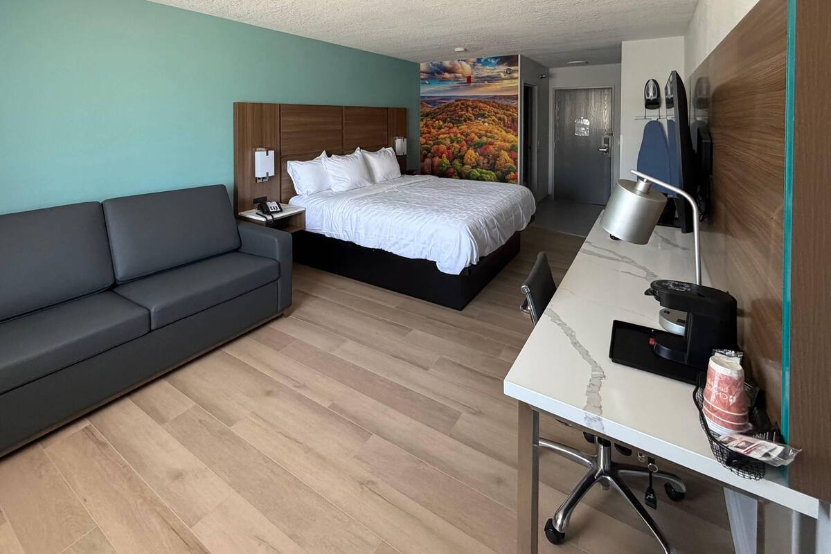 Habitación estándar, 1 cama de matrimonio grande con sofá cama, no fumadores