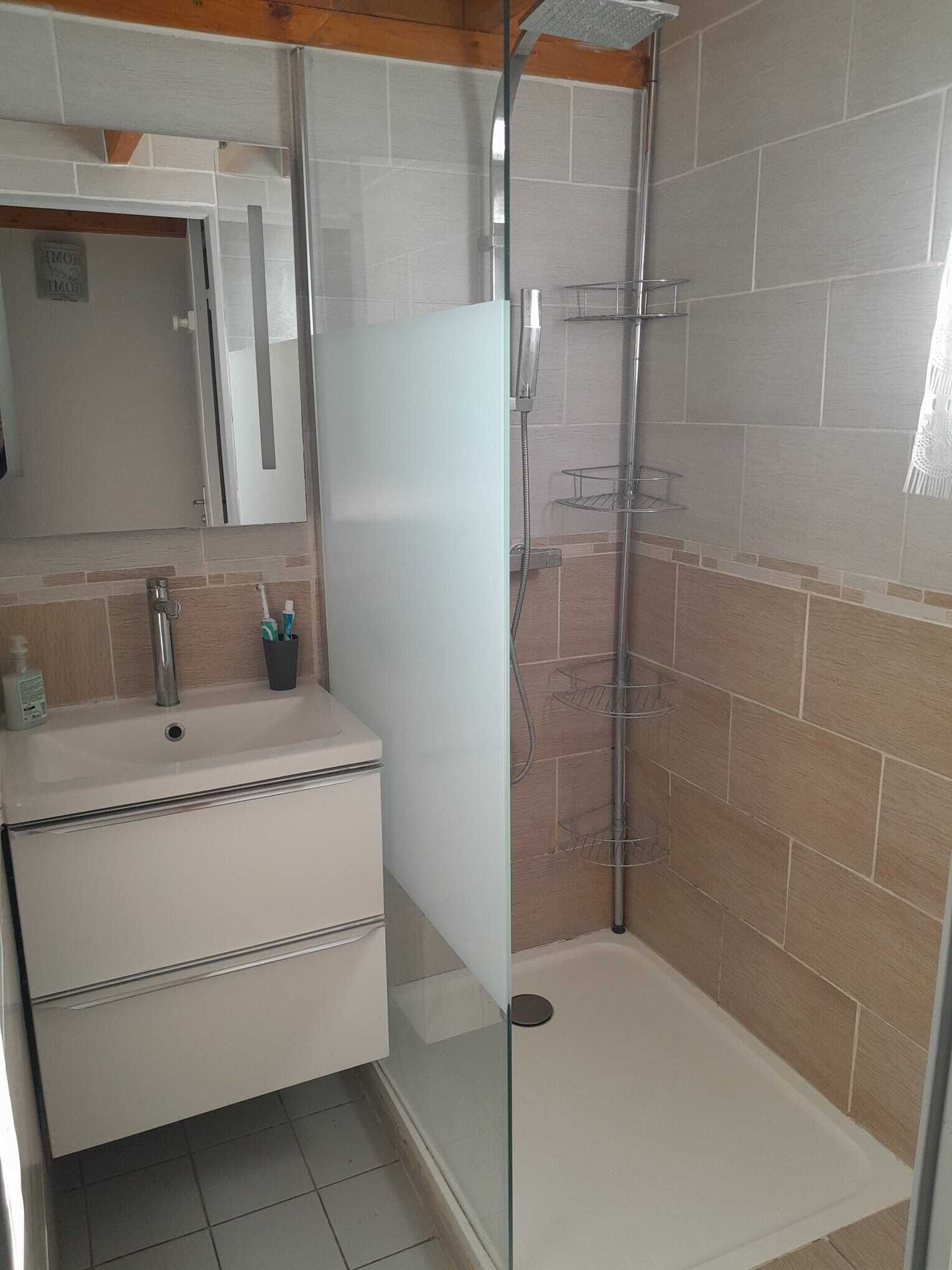 Une salle de bain avec une douche à parois de verre, un lavabo blanc et un miroir au-dessus du lavabo.