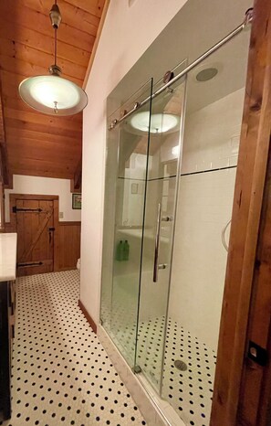 Shower, hair dryer, towels, soap - Charming log home with acres of hiking trails (Franklin)