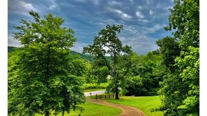 Ein gewundener Weg durch einen Park mit Bäumen und einer Straße im Hintergrund.