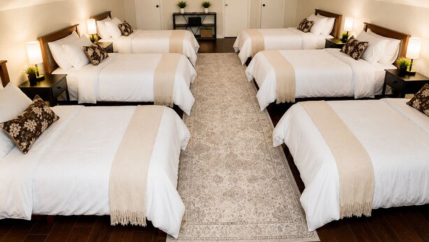 A hotel room with four beds arranged in a row, a ceiling fan, a TV, and a small table with a plant. - The Bass Shack (Alba)