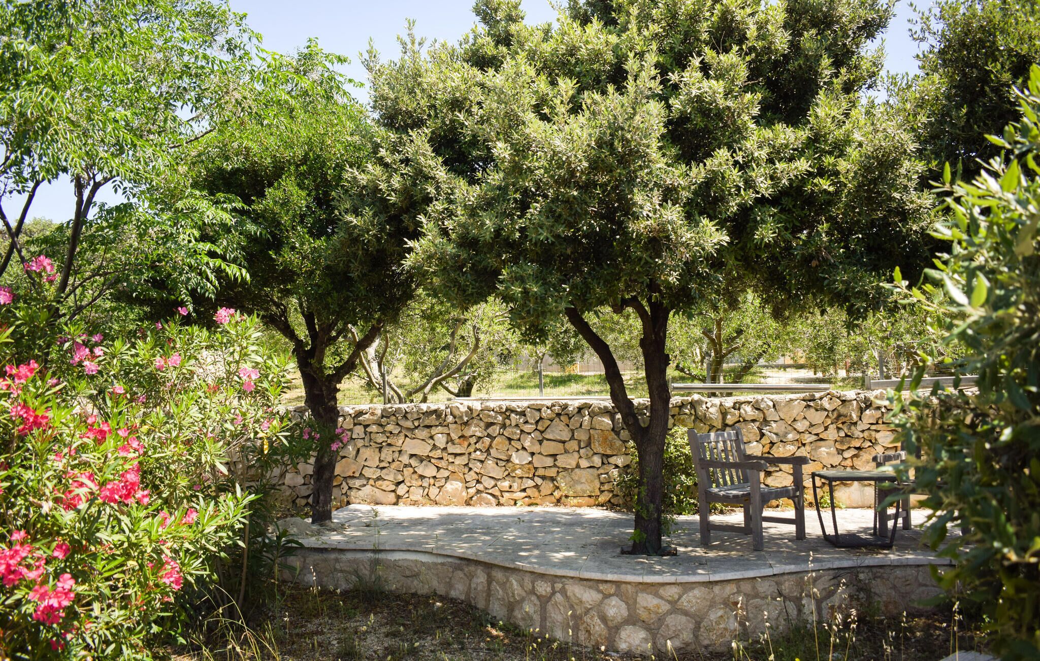 Terrazza/patio