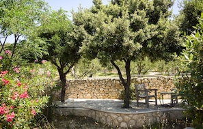outside - Amazing home in Mandre (Mandre)