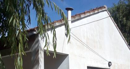 Rentals costa beach