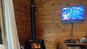 A cozy room with a wooden interior, a fireplace, a television, and a glass of wine on a table. - Puka Lodge (Front dwelling) 2 mins walk to beautiful Pukawa Bay Beach Lake Taupo (Pukawa)