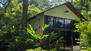 A modern house with a large glass door, surrounded by lush greenery and a paved pathway. - Alpina Montecarlo (Copán Ruinas)