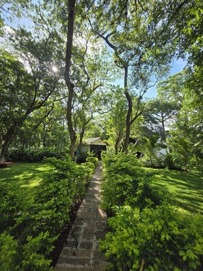 Áreas de la propiedad