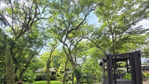 A garden pathway with a forklift, lush greenery, and a stone-tiled path. - Alpina Montecarlo (Copán Ruinas)
