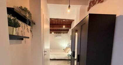 Cozy renovated house in central area