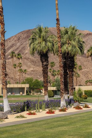 A landscaped area with palm trees, a building, and a mountain in the background. - Palm Desert Mid-Century Modern | Private Spa, Pool, Piano & Walk to El Paseo (Palm Desert)