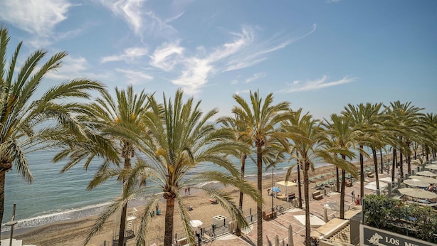 A beach with palm trees, a clear sky, and a view of the sea. - 2 bedroom amazing apartment in Marbella (Marbella)