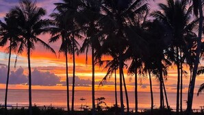 Una vista al atardecer con palmeras y el océano.