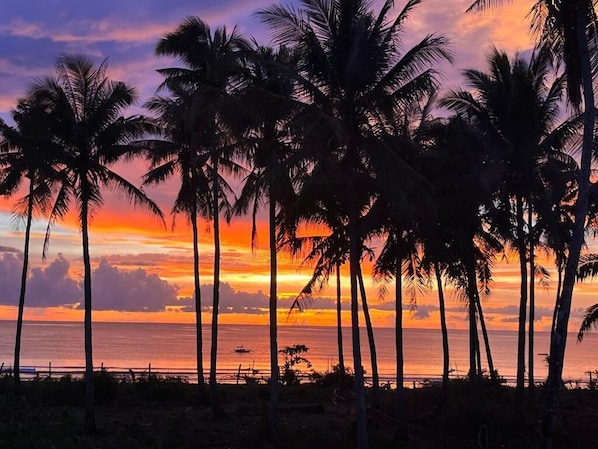 Une vue sur le coucher de soleil, avec des palmiers et l’océan.