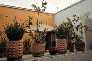 Une cour agrémentée de plantes en pot et illuminée par une guirlande lumineuse.