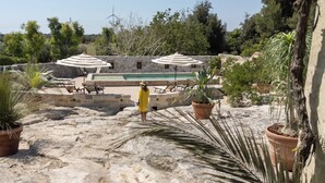 Área de piscina no terraço com espreguiçadeiras, parede de pedra e plantas em vasos.