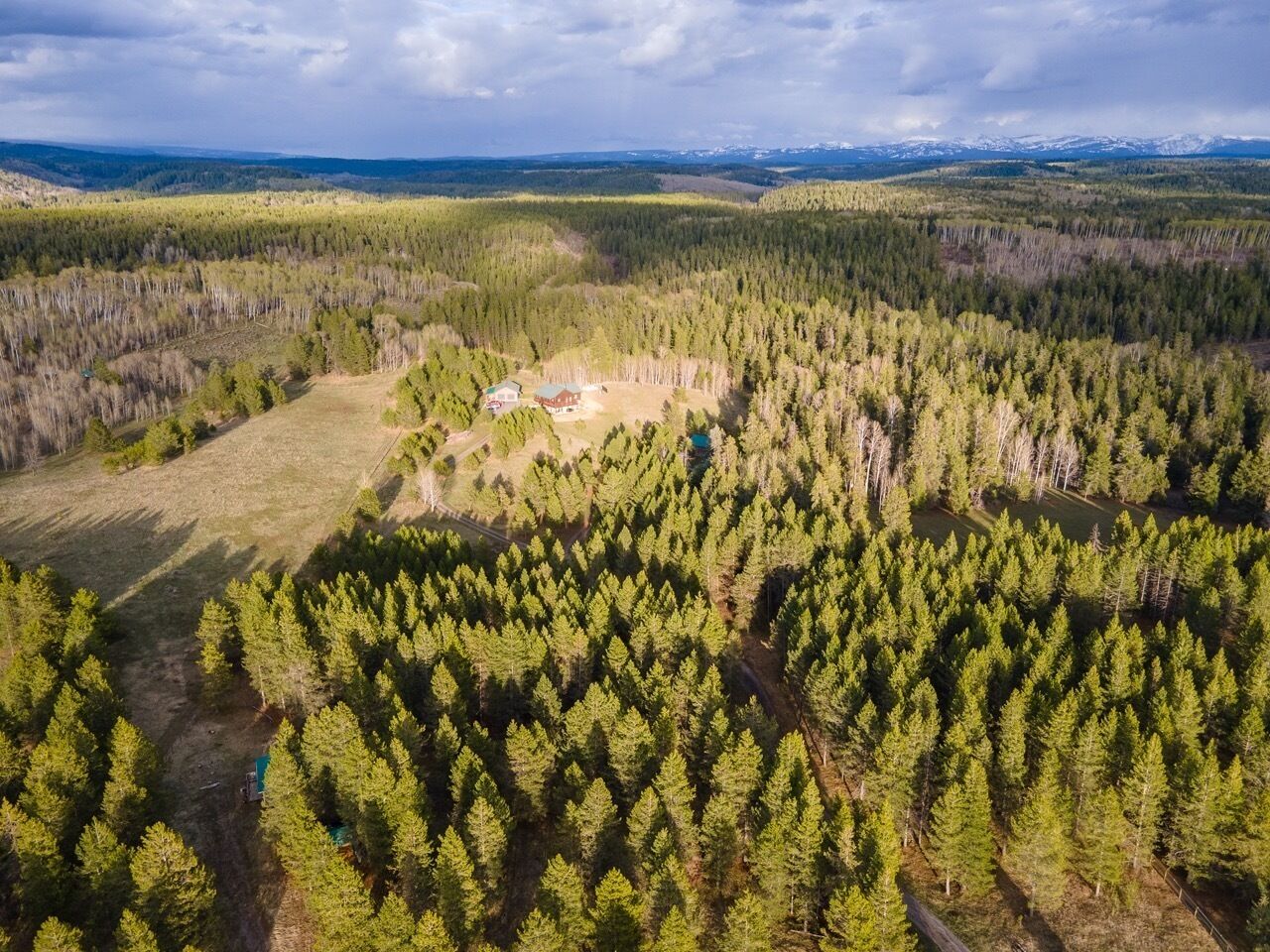 An aerial view of a forested area with a house surrounded by trees.