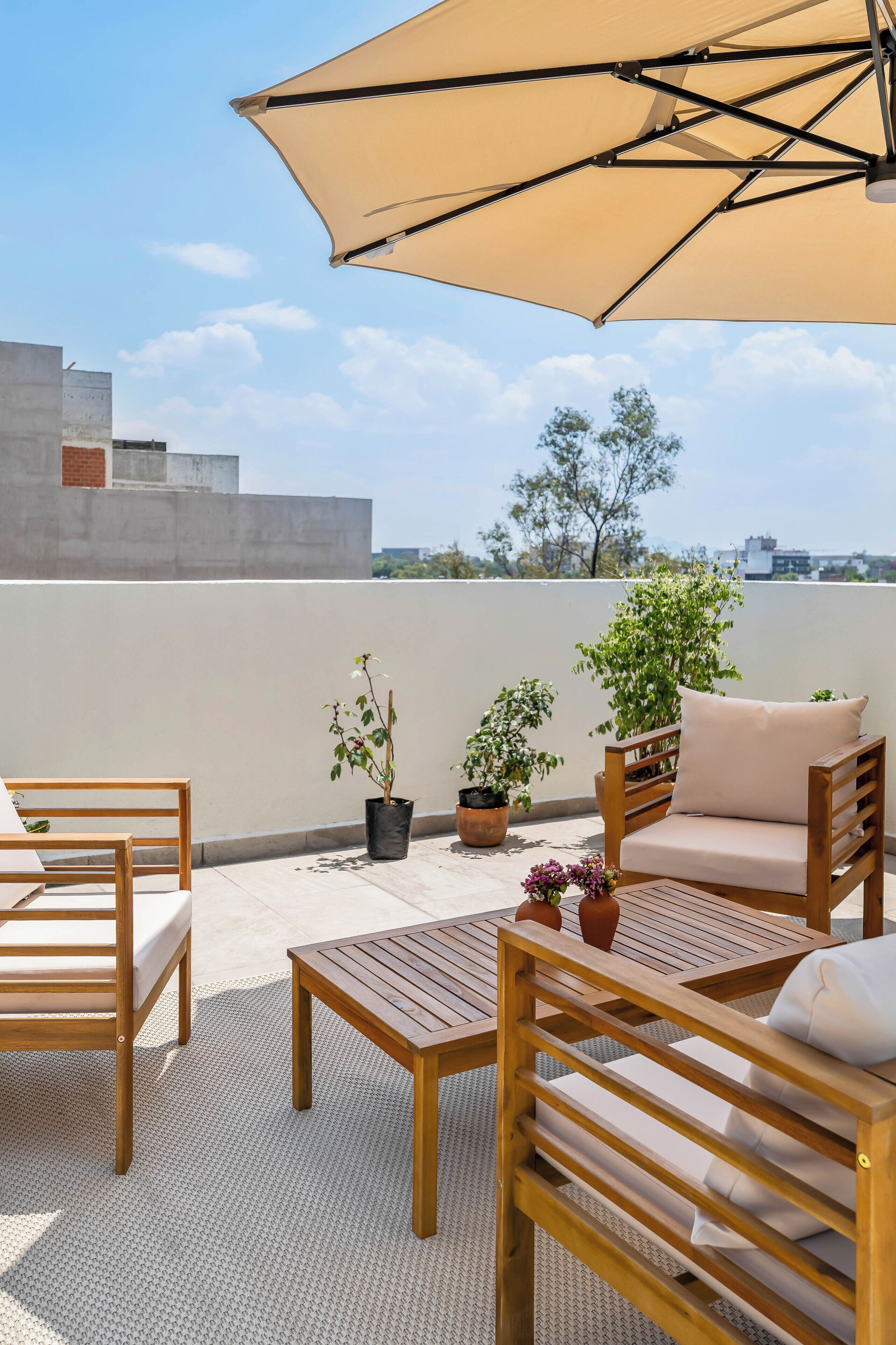 Terraza o patio