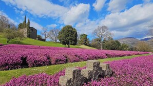 A landscape with a church, trees, and a field of purple flowers. - Villa Montegolo, Happy Apartment (Costermano)