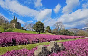 Property grounds - Villa Montegolo, Happy Apartment (Costermano)