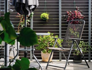 Terrace/patio - KozuGuru | Glebe | Iconic Inner-City Retreat (Glebe)