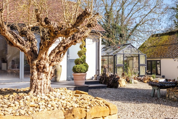 A tree in a garden, a greenhouse, and a building with a tiled roof.
