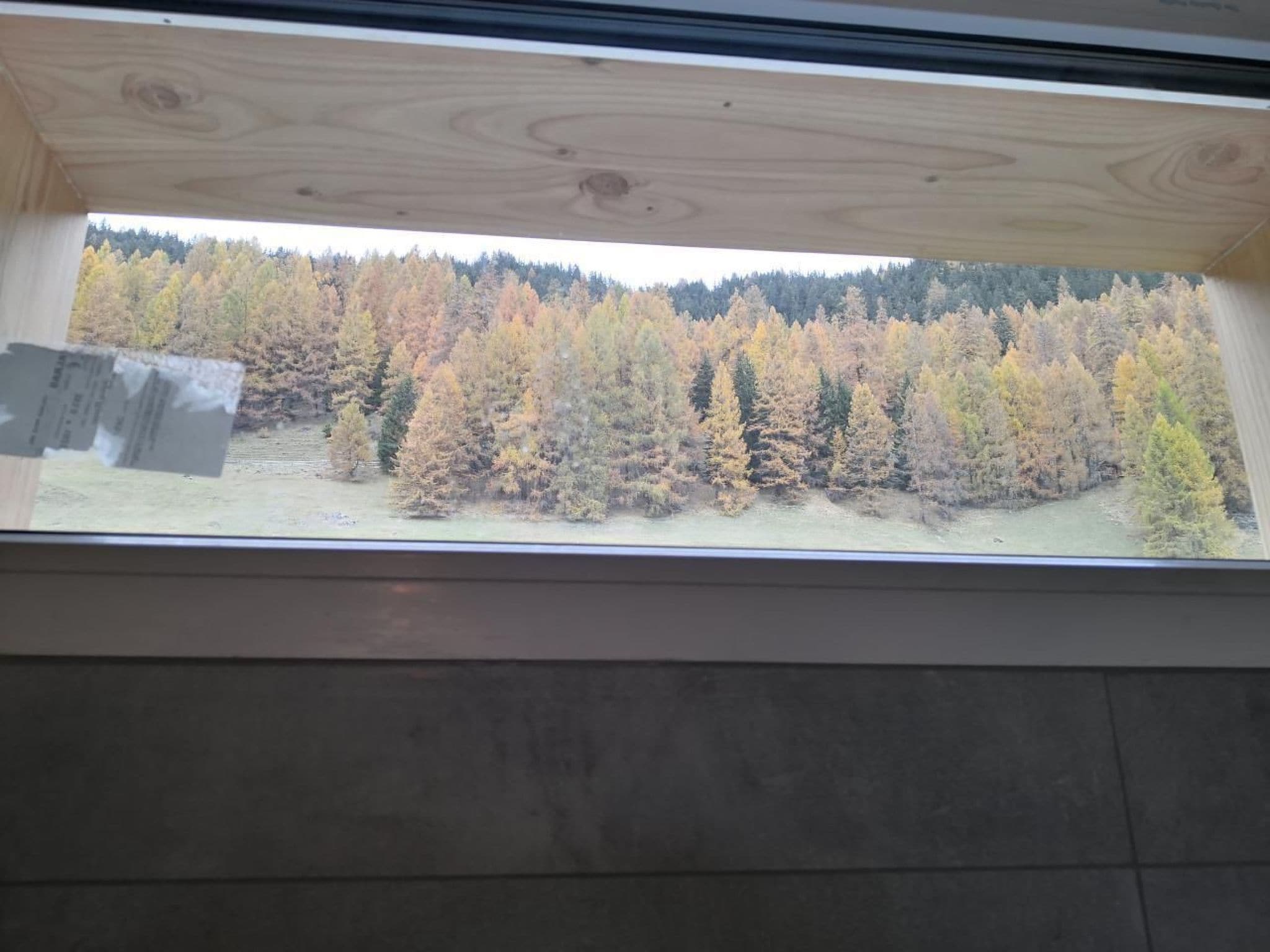 Une fenêtre donnant sur une zone boisée.