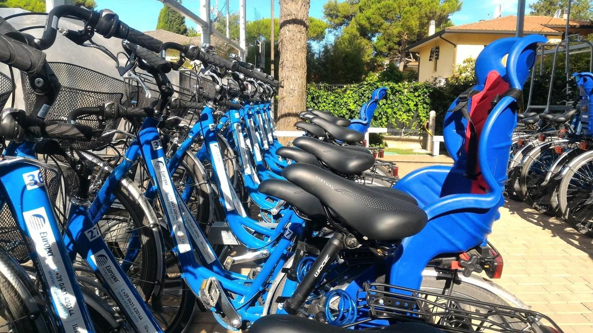 A row of blue bicycles parked in a designated area.