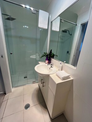 Dusche, Whirlpool, Haartrockner, Handtücher