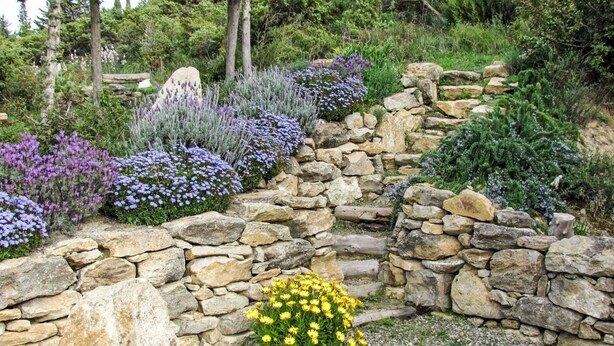 Un jardín con un muro de piedra, diversas plantas y un parterre amarillo.