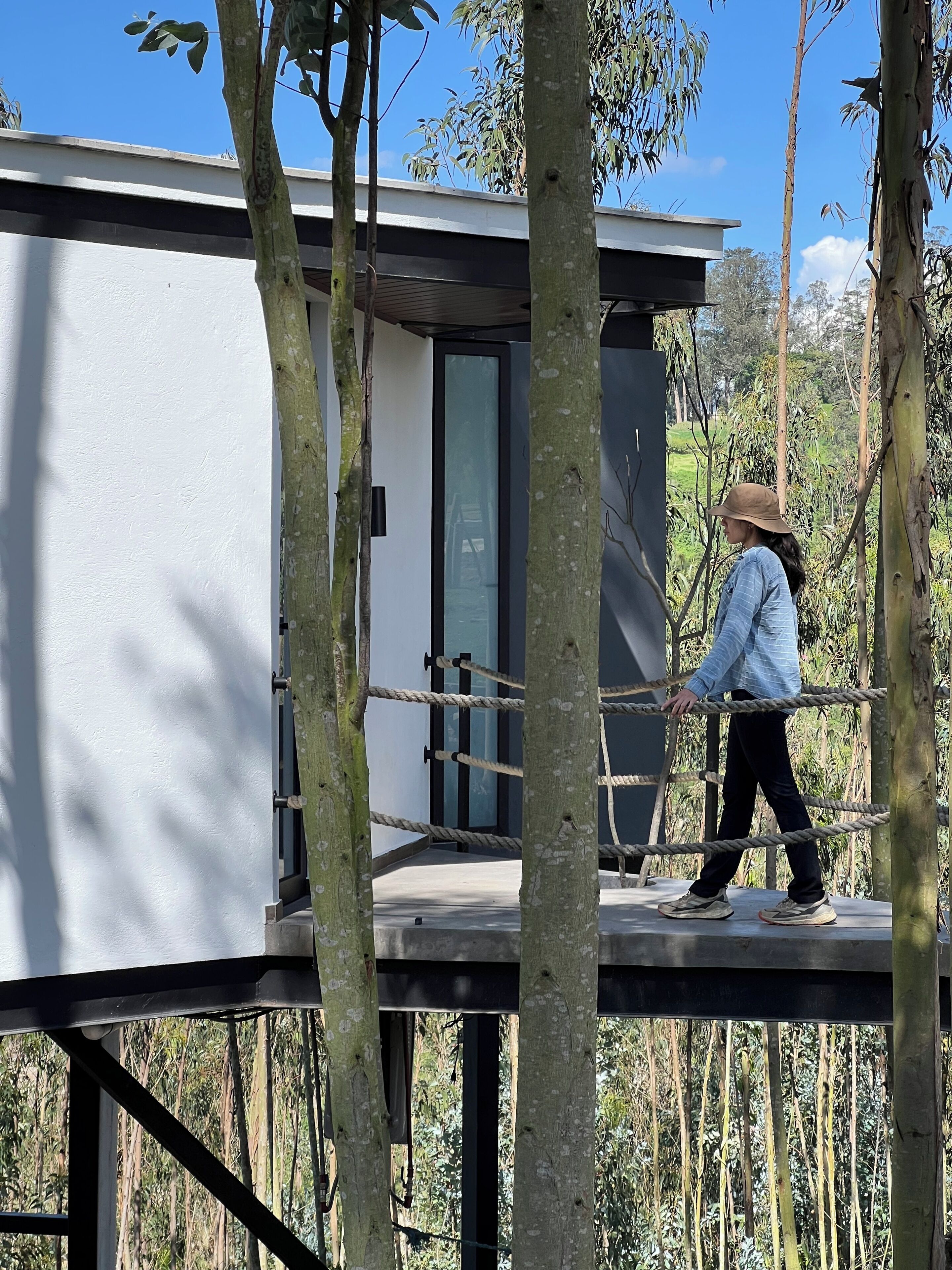 A treehouse with a glass door, surrounded by trees.