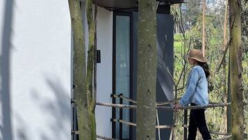 A treehouse with a glass door, surrounded by trees.