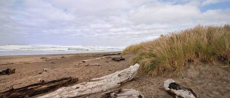 Ein Strand mit Treibholz, Sand und Gras.