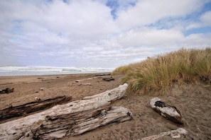 Une plage avec des morceaux de bois flotté, du sable et de l’herbe.